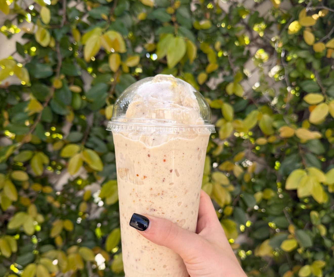 The Date Shake Smoothie.
