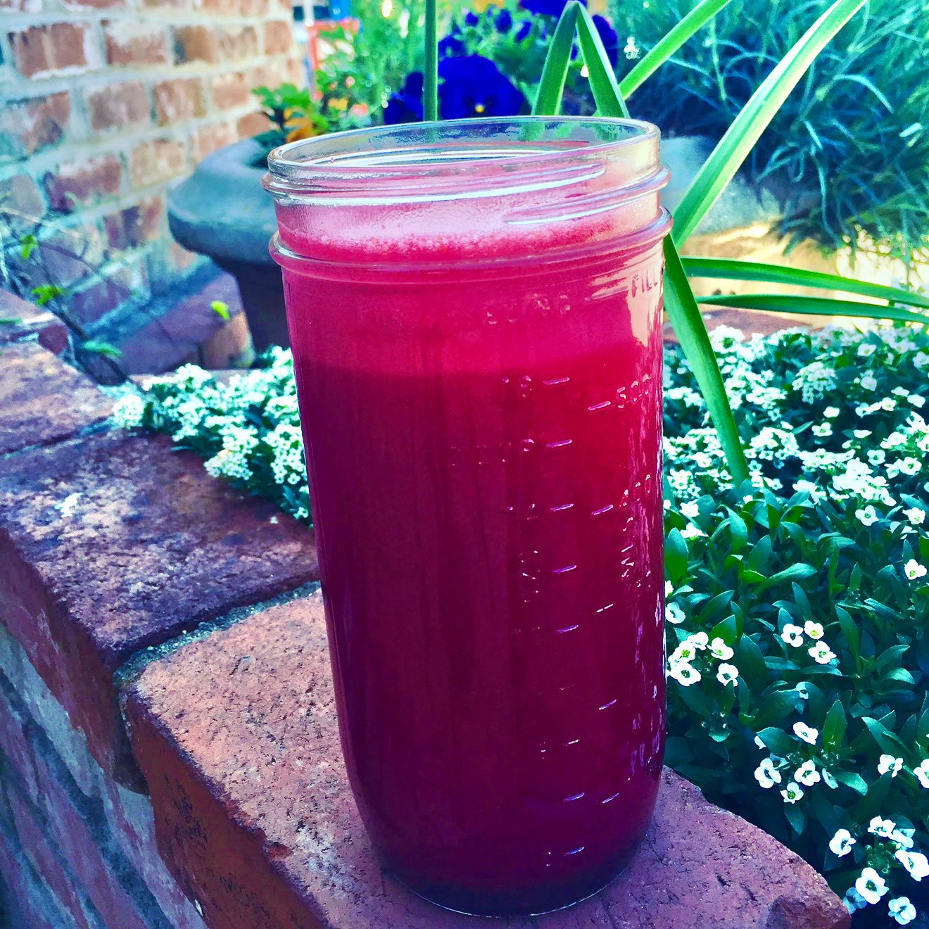The Back to Your Roots Juice.